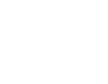 bds-logo Bridge Divorce Strategies